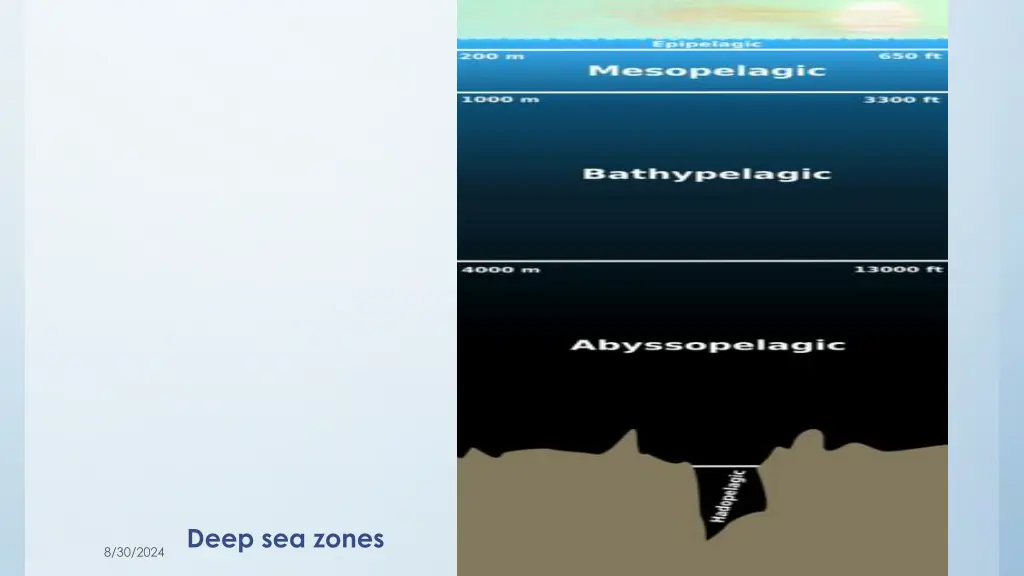 deep sea zones