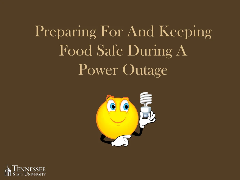 preparing for and keeping food safe during