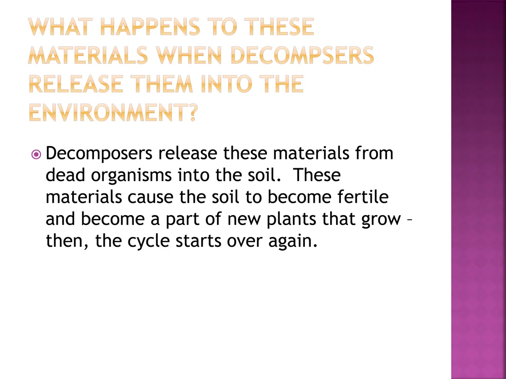 decomposers release these materials from dead