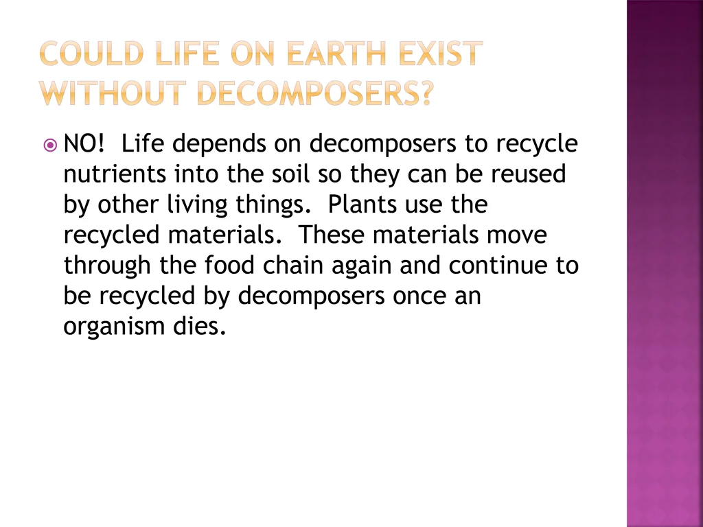no life depends on decomposers to recycle