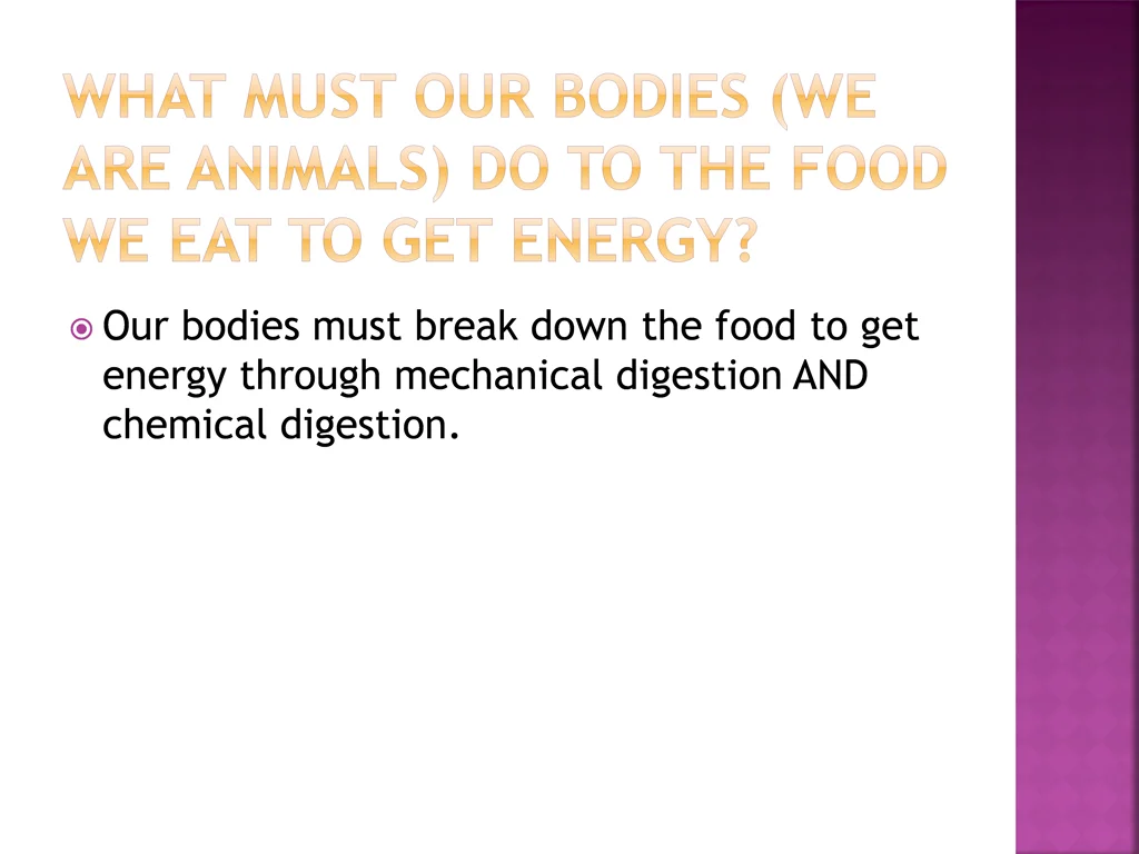 our bodies must break down the food to get energy