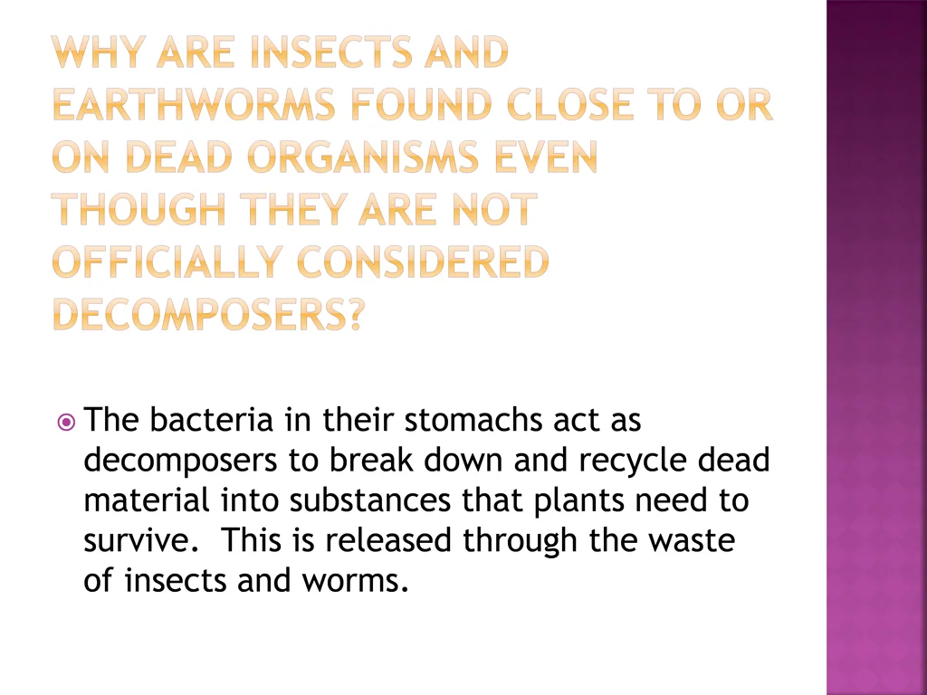 the bacteria in their stomachs act as decomposers