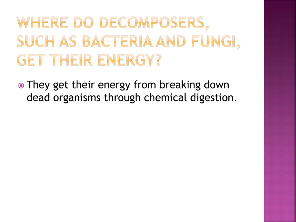 they get their energy from breaking down dead