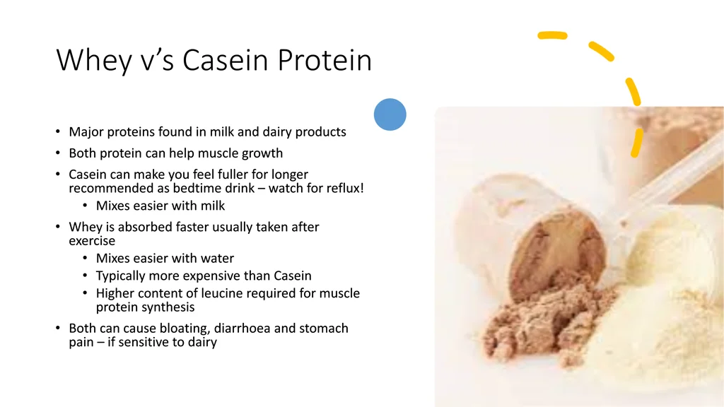 whey v s casein protein