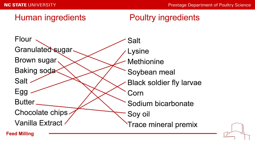 human ingredients
