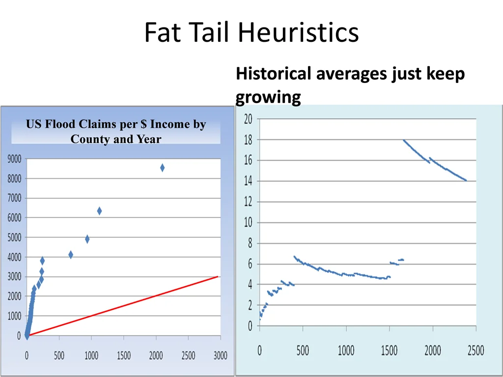 fat tail heuristics 1