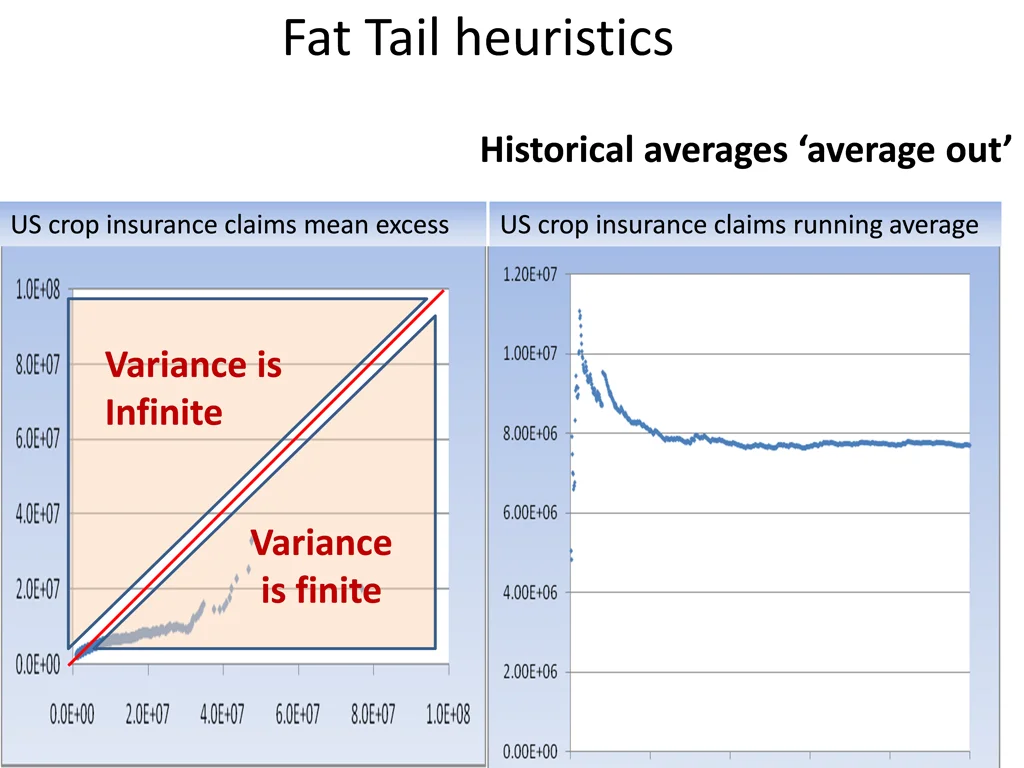 fat tail heuristics