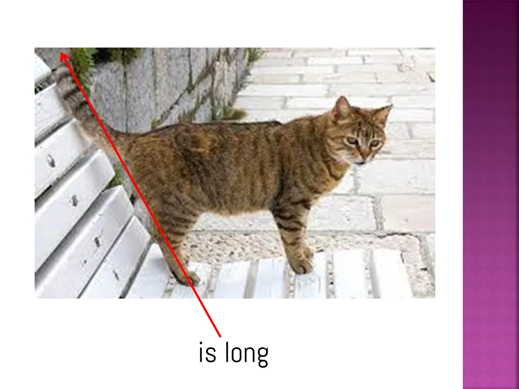 is long