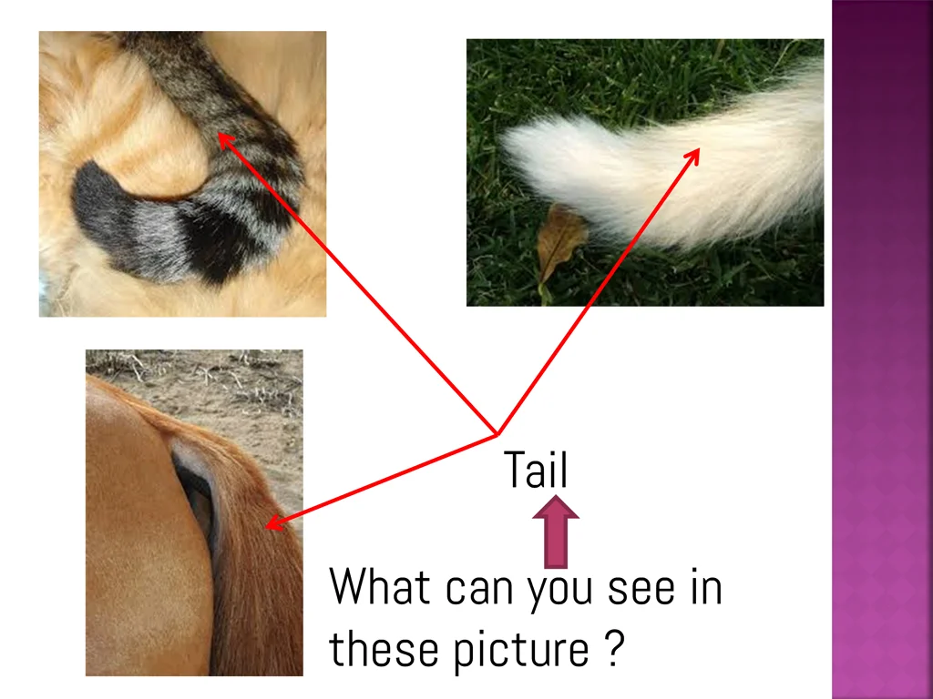 slide4