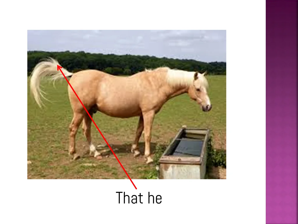 that he