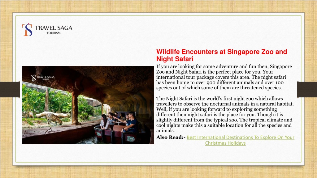 Ppt - What Is Included In 7 Nights  8 Days Singapore Tour Package 